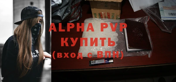 скорость Бородино